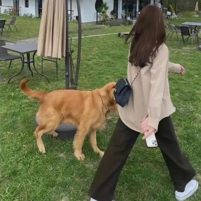 贝茨旅馆第二季